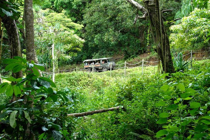 Kualoa Ranch: Jungle Expedition Tour - Stunning Views of Kaneohe Bay and Mokolii Island