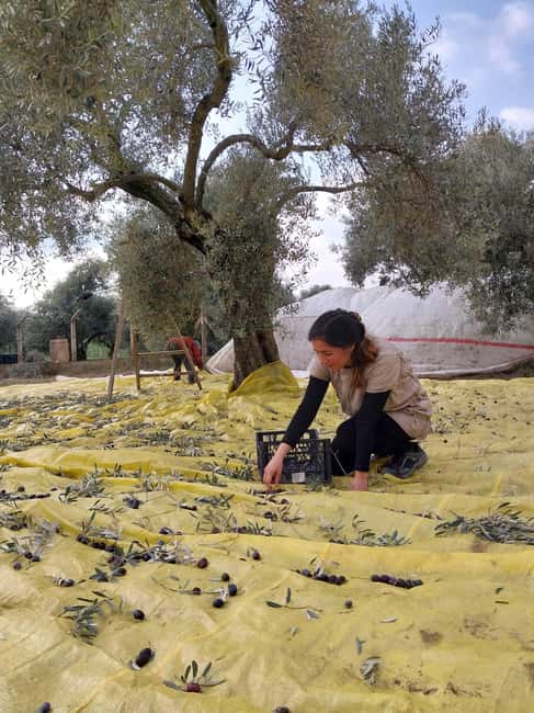 Kusadas: Countryside Tour with Lunch and Drinks - Starting at Güzelçaml: Traditional Countryside Welcome