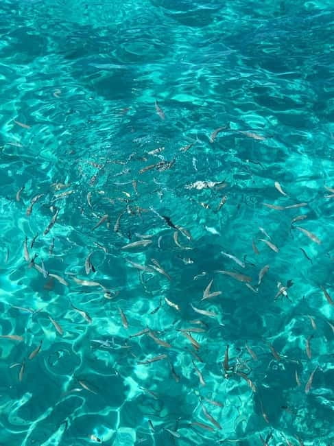 Kusadasi: Aegean Sea Boat Tour with Lunch - Exploring the Crystal-Clear Bays of Kusadasi