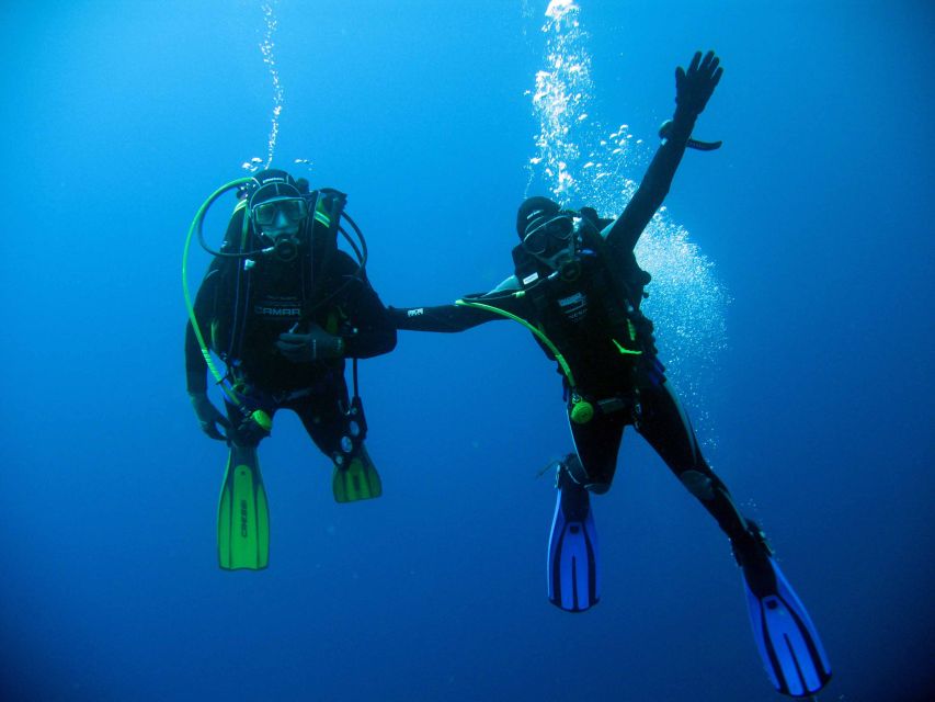 Kusadasi: Scuba Diving for Beginner or Experienced w/ Lunch - Underwater Highlights: Marine Life and Scenic Views