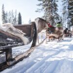 Kuusamo: Reindeer Sleigh Ride and Farm Visit - The Scenic Setting of Kujala Reindeer Farm