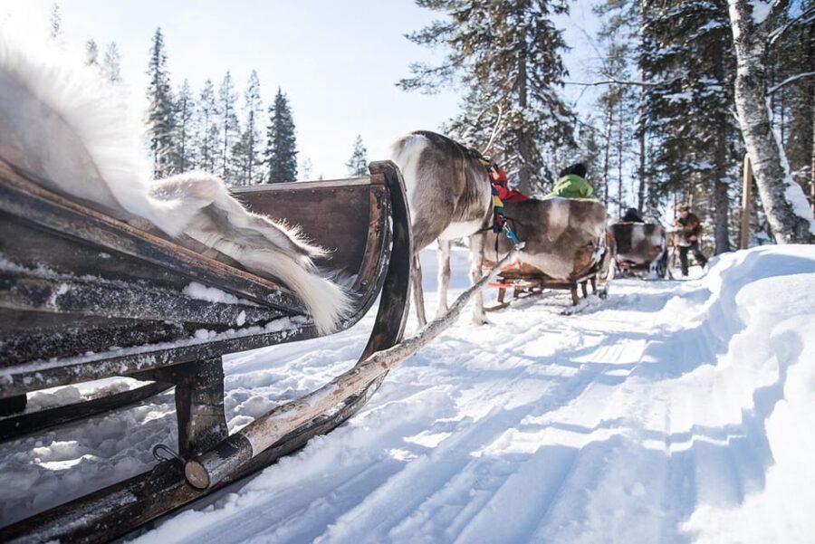 Kuusamo: Reindeer Sleigh Ride and Farm Visit - The Scenic Setting of Kujala Reindeer Farm