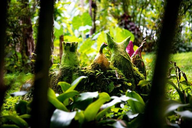 Kvasirs Meadery Experience on the Big Island - Exploring the farm and native forests