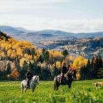 La Bleuetière: A charming introduction to horseback riding - Why La Bleuetière Stands Out as a Horseback Riding Tour