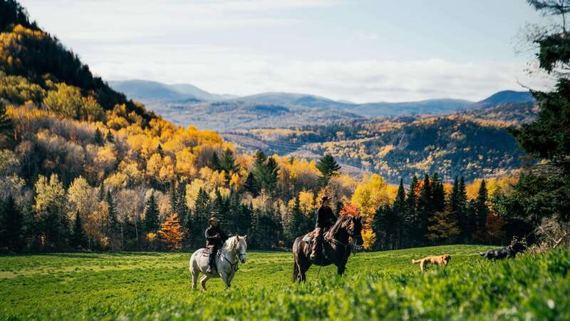 La Bleuetière: A charming introduction to horseback riding - Why La Bleuetière Stands Out as a Horseback Riding Tour