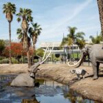 La Brea Tar Pits and Museum Admission Ticket with Excavator Tour - The Fossil Lab and Observation Pit Experience