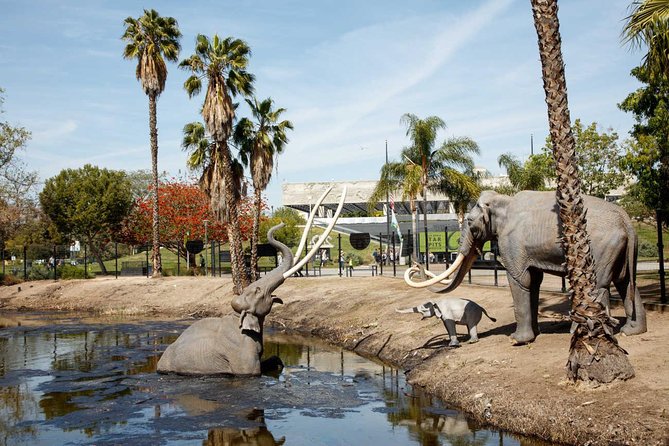 La Brea Tar Pits and Museum Admission Ticket with Excavator Tour - The Fossil Lab and Observation Pit Experience