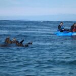 La Jolla Sea Caves Kayak Tour For Two (Tandem Kayak) - La Jolla’s Iconic Sea Caves and Rocky Coastline