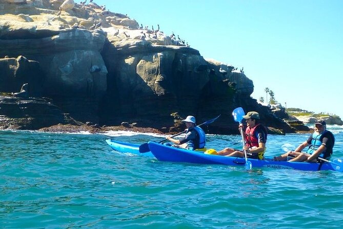 La Jolla Sea Caves Kayak Tour (Single Kayak) - Exploring La Jolla Cove and Its Marine Reserve