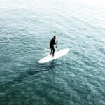 La Jolla: Stand Up Paddle Board Rental - La Jolla’s Ecological Reserve: A Protected Marine Environment