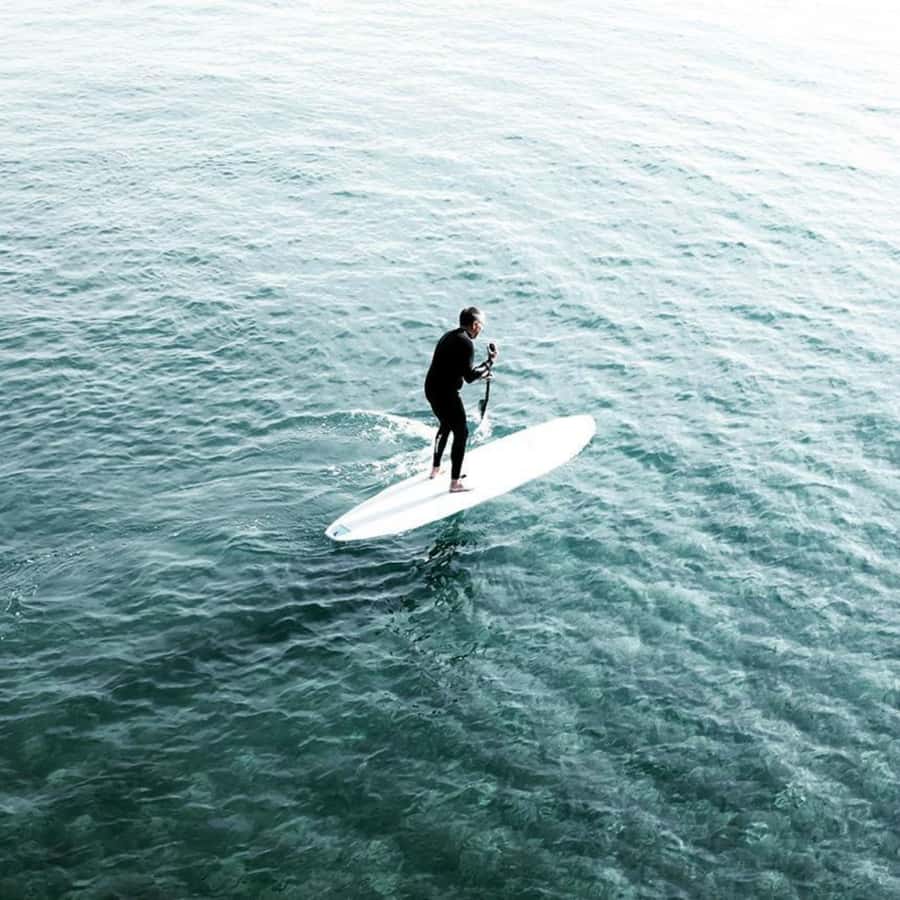 La Jolla: Stand Up Paddle Board Rental - La Jolla’s Ecological Reserve: A Protected Marine Environment