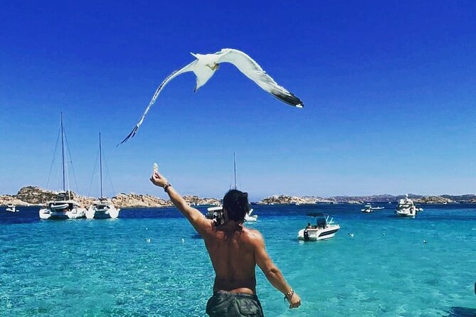 La Maddalena Archipelago Boat Tour with lunch - Exploring the Maddalena Archipelago’s Most Beautiful Spots