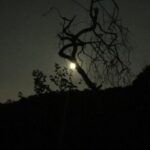 LA Night Hikers - The Scenic Routes and Sunset Views