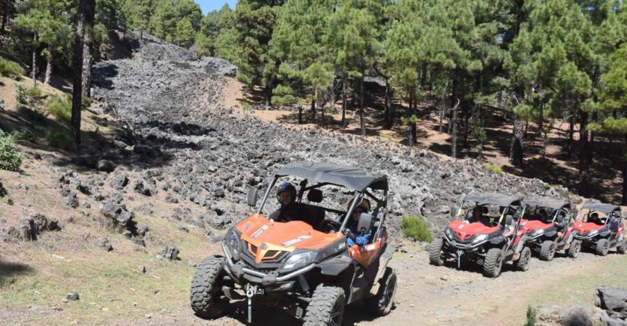 La Palma: Volcano Route Buggy Tour - The Route Through Mountainous La Palma