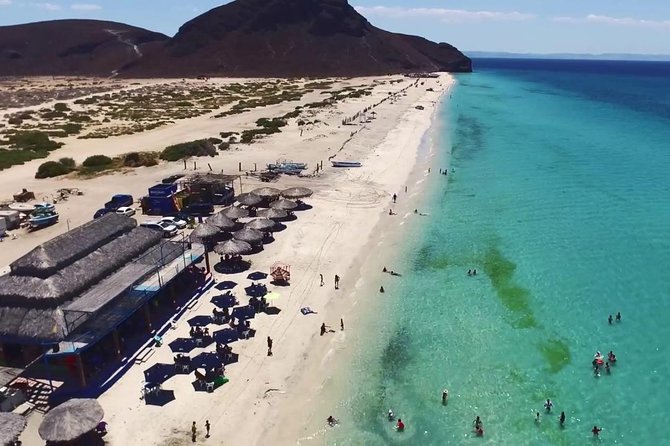 La Paz and Todos Santos City and Beaches Tour - Traveling Comfortably in an Air-Conditioned Vehicle