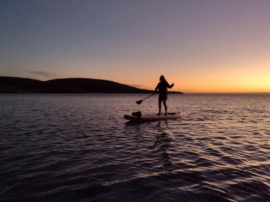 La Paz Bay Guided Paddleboarding and Snorkeling Tour - Starting Point and Group Size for a Personal Experience