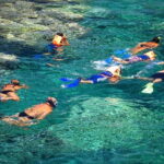 La Paz: Coral Farm Snorkel Tour - Exploring the Coral Nurseries: What You’ll See