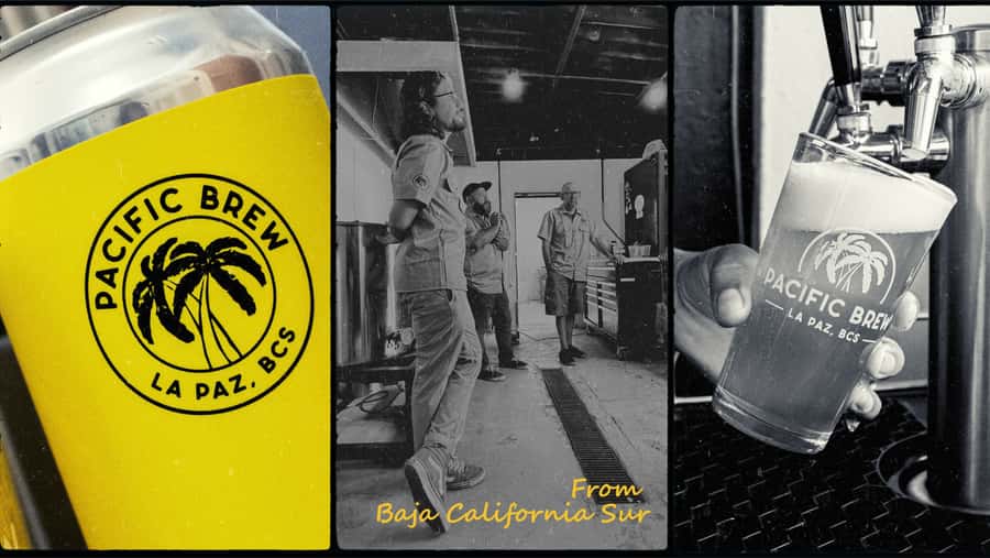 La Paz Cruisers: Craft Beer Tour with Tastings and Ceviche - Starting Point at Pichilinque for Convenient Pickup