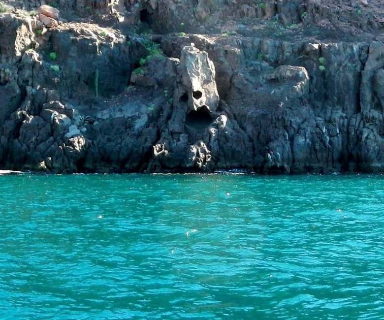 La Paz: Espíritu Santo Island Snorkeling Tour with Lunch - Snorkeling with Sea Lions at Los Islotes