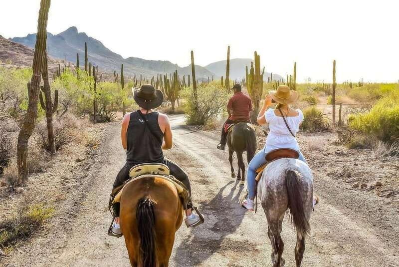 La Paz: Horseback Riding - Horseback Riding Along Baja’s Beaches and Mountain Trails