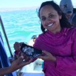 La Paz: Mangrove Adventure, Snorkeling and Shellfish Tasting - Snorkeling in Ensenada de Iris: Vibrant Marine Life Awaits