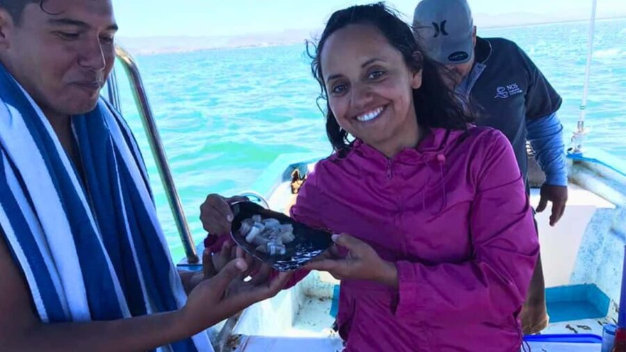 La Paz: Mangrove Adventure, Snorkeling and Shellfish Tasting - Snorkeling in Ensenada de Iris: Vibrant Marine Life Awaits