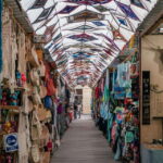 La Paz: Todos Santos Day Trip - Starting Point at Edificio Laura in La Paz