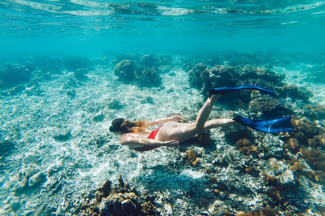 La Paz World class Snorkeling in Balandras Hidden Beaches - Meeting Point, Transport, and Group Size