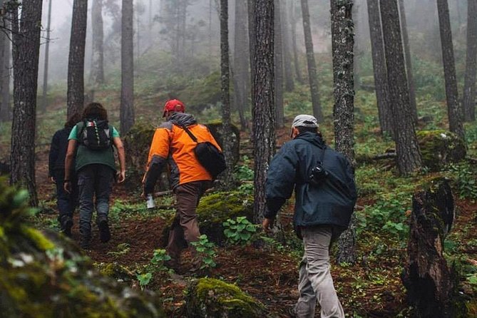 La Pirámide Park // WALK AND DISCOVER THE PARK - Start Point: Zaragoza 308, Durango