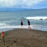 Lagoa do Fogo and Sete Cidades Private Full Day Tour - Visiting the Pineapple Plantations at A Arruda