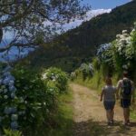 Lagoa do Fogo Trail Full-Day Walking Tour with Lunch - Key Points