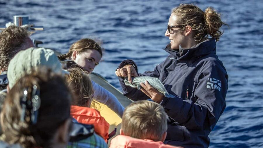 Lagoa do Fogo: Whales & Volcano Geo Tour w/ Biologist +lunch - Meeting Point and Logistics at Vila Franca do Campo Marina