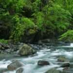 Lagodekhi - A day hiking from Tbilisi - The Scenic Drive to Lagodekhi Protected Areas