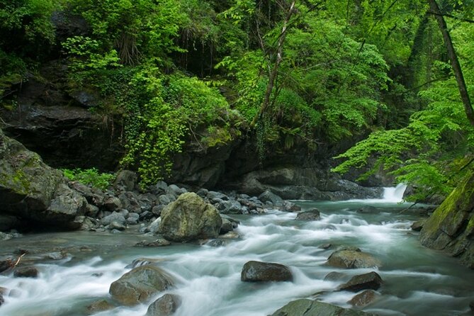 Lagodekhi - A day hiking from Tbilisi - The Scenic Drive to Lagodekhi Protected Areas