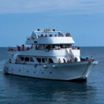 Lagoon to Paphos: Blue Lagoon All Inclusive Round Trip - Starting the Day: Hotel Pickup and Journey to Latchi Harbour