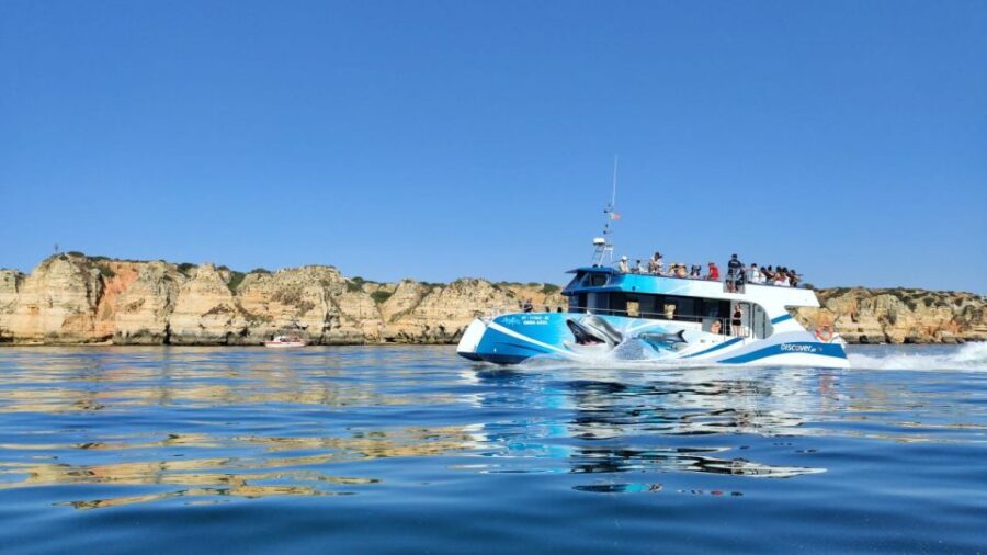 Lagos: Dolphin Watching Half-Day Cruise & Water Activities - The Departure Point at Lagos Marina