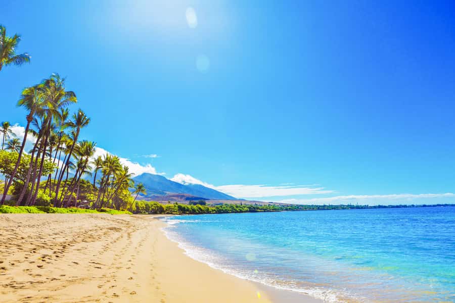 Lahaina: Stand Up Paddleboard Lesson - The Instructional Approach of the Royal Hawaiian Surf Academy