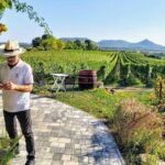 Lake Balaton private wine tasting and sightseeing from Budapest - Departure and Meeting Details in Budapest