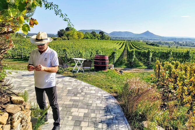 Lake Balaton private wine tasting and sightseeing from Budapest - Departure and Meeting Details in Budapest