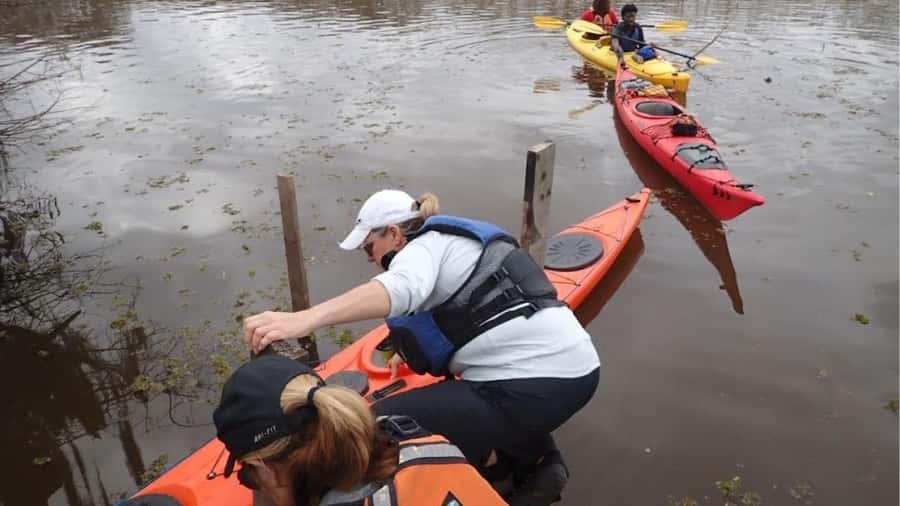 Lake Charlotte Flooded Cypress Forest | Eco Wonderland Tour - Starting Point for the Lake Charlotte Eco Tour