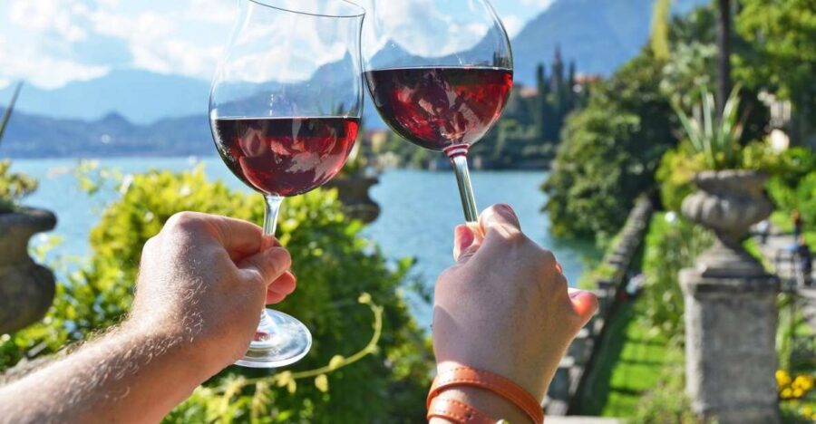 Lake Como: Winery Tour with Wine Tasting - Visiting the Winery and Vineyard in Domaso