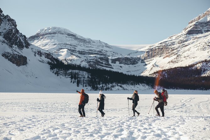 Lake Louise and Icefields Parkway Winter Tour - Exploring Lake Louise’s Winter Activities