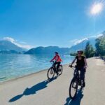 Lake Lucerne Peninsula e-Bike Tour - Highlights of Riding through Alpine Landscapes
