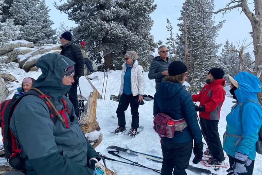 Lake Tahoe: Guided Snowshoe Experience - What to Expect on Your Snowshoe Journey