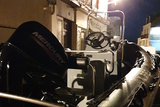 Lake Zurich mini boat tour / by night! - Iconic Stops and Notable Landmarks Along the Route