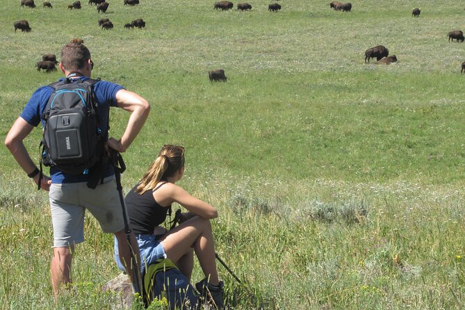 Lamar Valley Safari Hiking Tour with Lunch - Off-the-Beaten-Path Wildlife Viewing