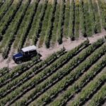 Lamego: Quinta da Portela de Baixo Winery Tour and Tasting - Quinta da Portela de Baixo: An Authentic Douro Experience