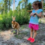 Lamont: Kangaroo Encounter at North Florida Wildlife Center - How the Kangaroo Encounter Works at North Florida Wildlife Center