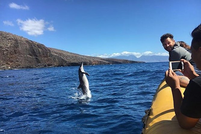 Lanai Deluxe Dolphin Adventure & 3 Snorkel Sites - Snorkel Adventures at Lanai’s Top Sites