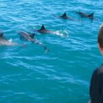Lanai Snorkel and Dolphin Watch from Maalaea - Marine Naturalists and Educational Activities Onboard